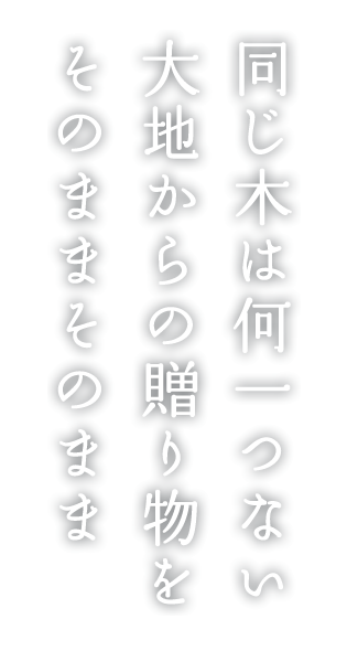 同じ木は何一つない大地からの贈り物をそのままそのまま